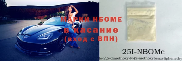 мдпв Ельня