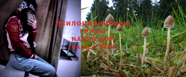 наркотики Дмитровск