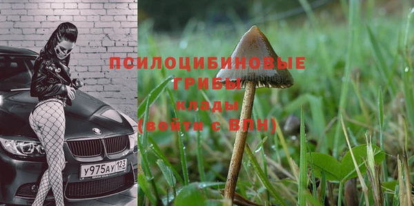 винт Елизово
