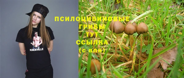 молекула духа Дмитриев