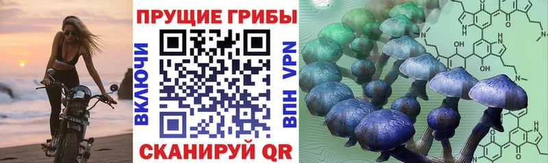 Псилоцибиновые грибы прущие грибы где можно купить Трубчевск